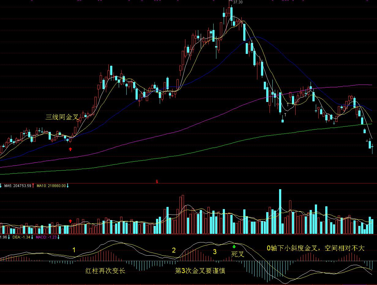 截至7月底中国农村网商数已超1950万家