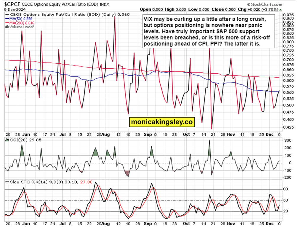 港北区:消费市场活跃 冲刺首季“开门红”