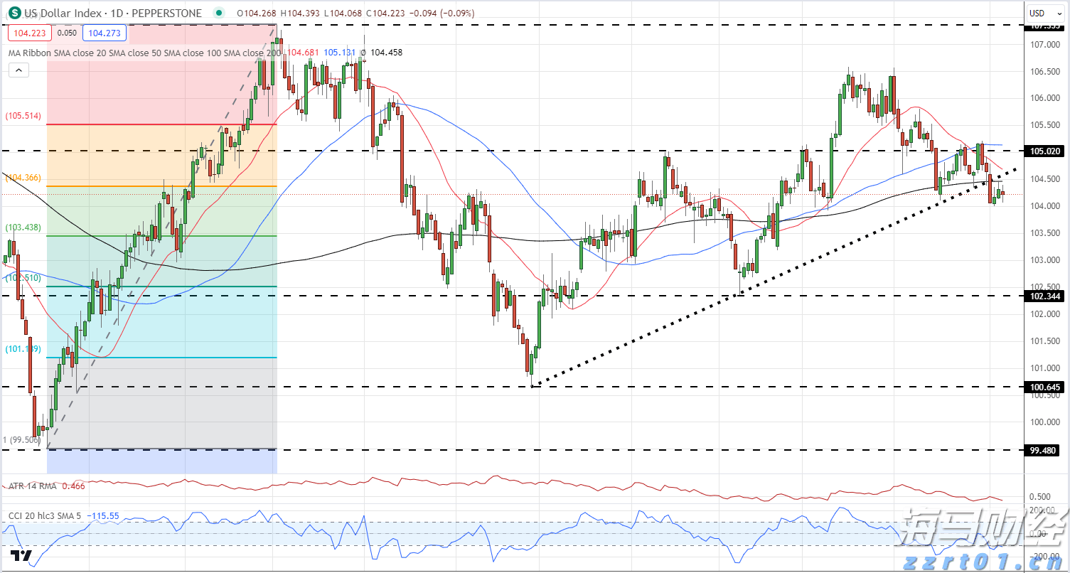 世界首例!广东医生将基因编辑猪肺移植到人体