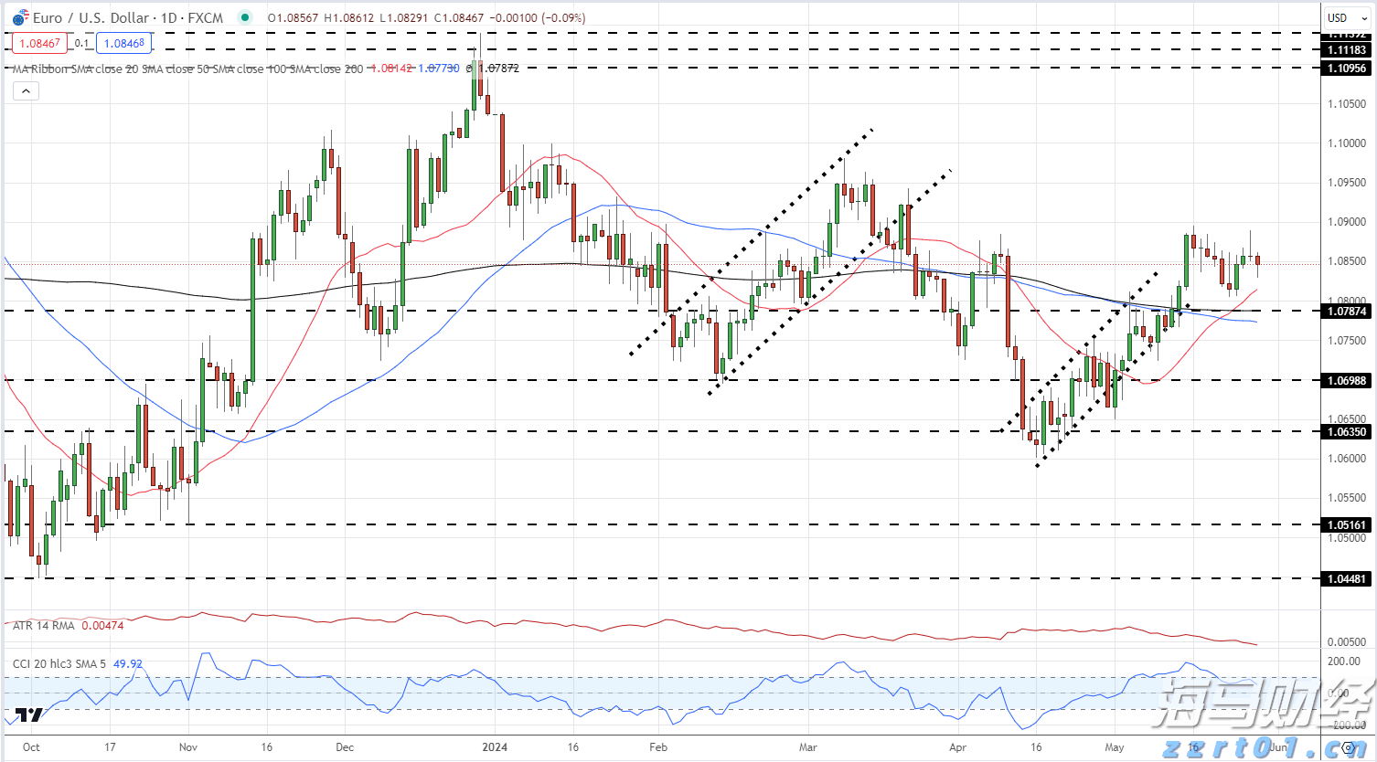 大圩镇:黄皮满枝头致富“黄金果 ”